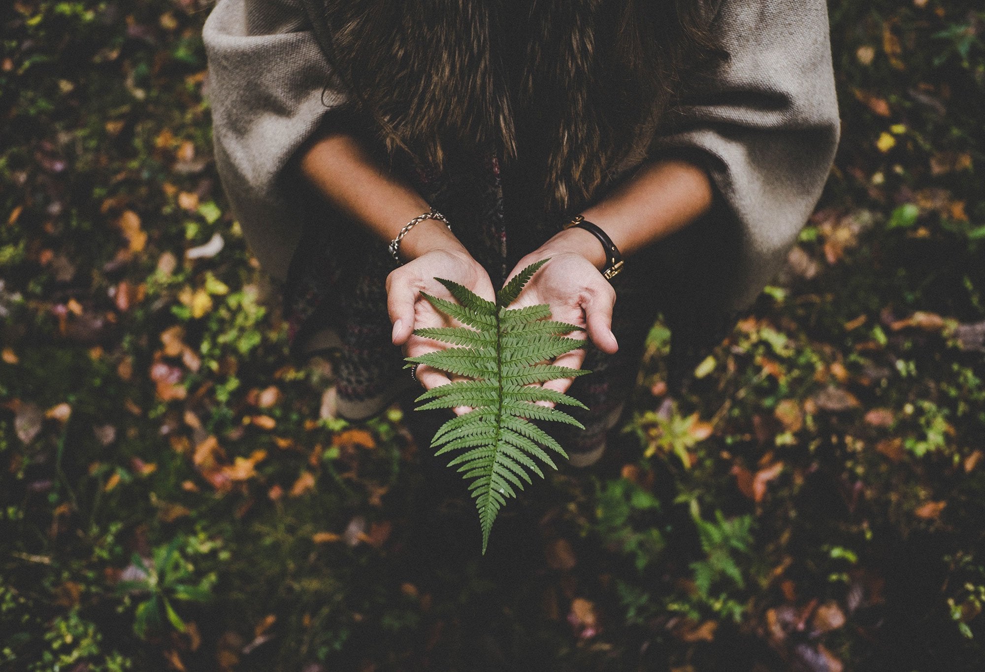 How Does CBD Work on the Endocannabinoid System? Part One - Cannadips®