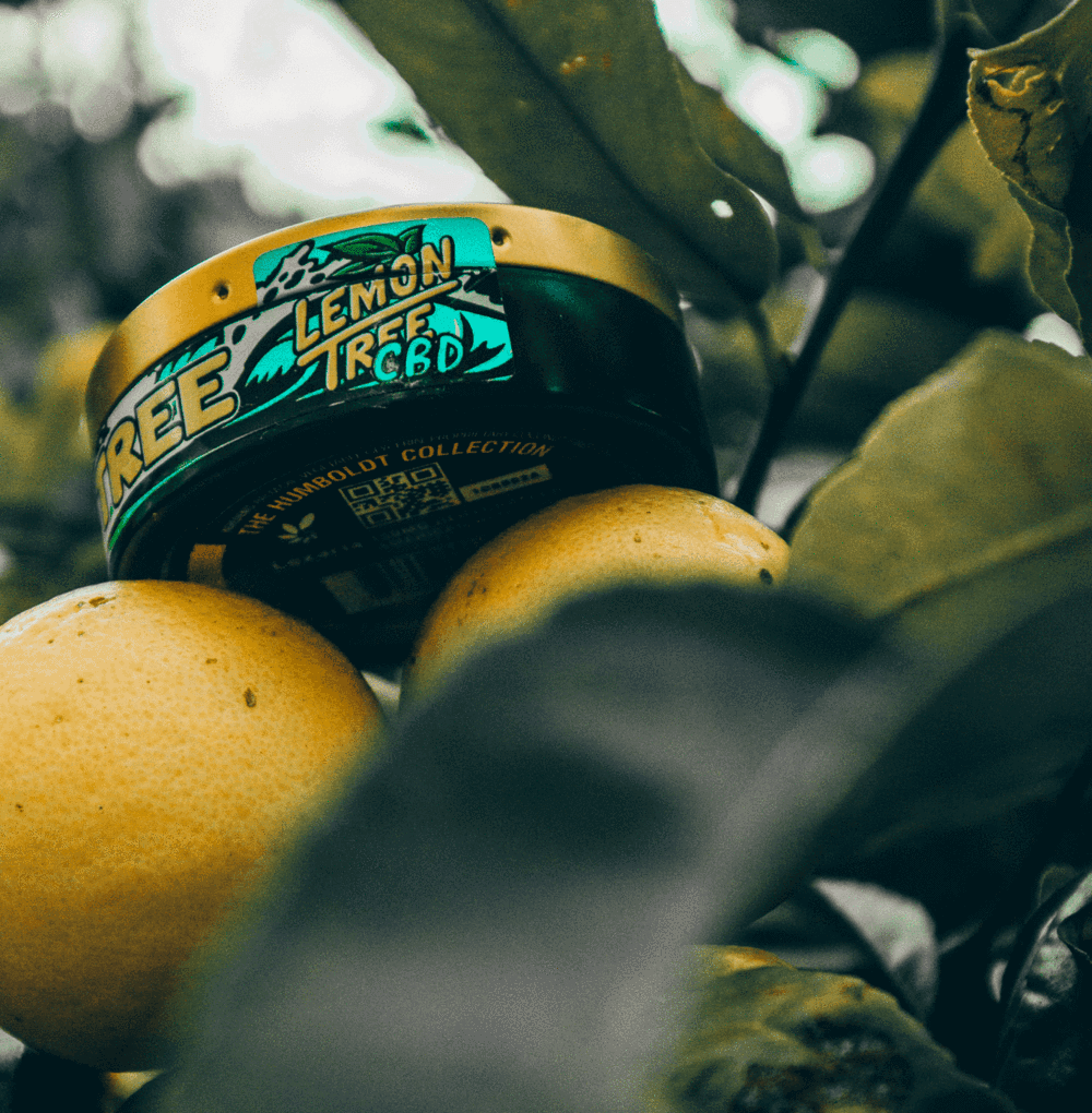 INTRODUCING LEMON TREE: THE HUMBOLDT COLLECTION - Cannadips®